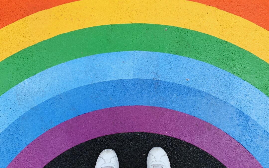 Rabbi Steven Pruzansky in Israel National News: A dose of reality on “Pride Month”