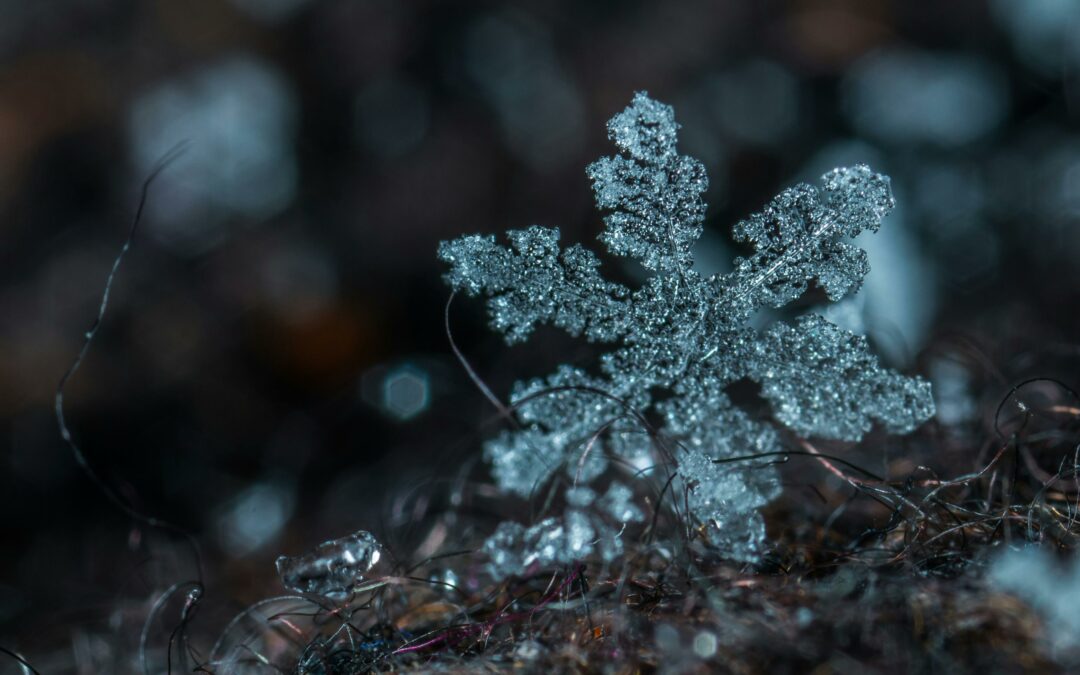Rabbi Ze’ev Smason in St. Louis Jewish Light: ‘A snowflake is a snowflake is a snowflake’