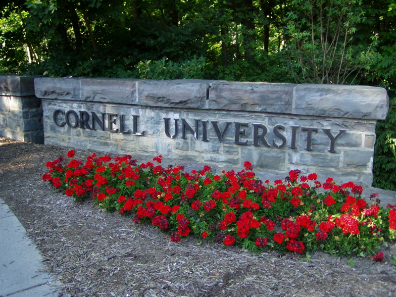 The College Fix: Cornell faces call for civil rights probe after Israeli student alleges discrimination