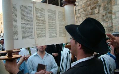 Moment Magazine: When Leviticus is Not the Last Word