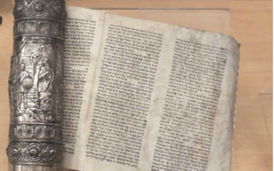 Rabbi Yaakov Menken in Israel National News: Tucker Carlson did us a favor